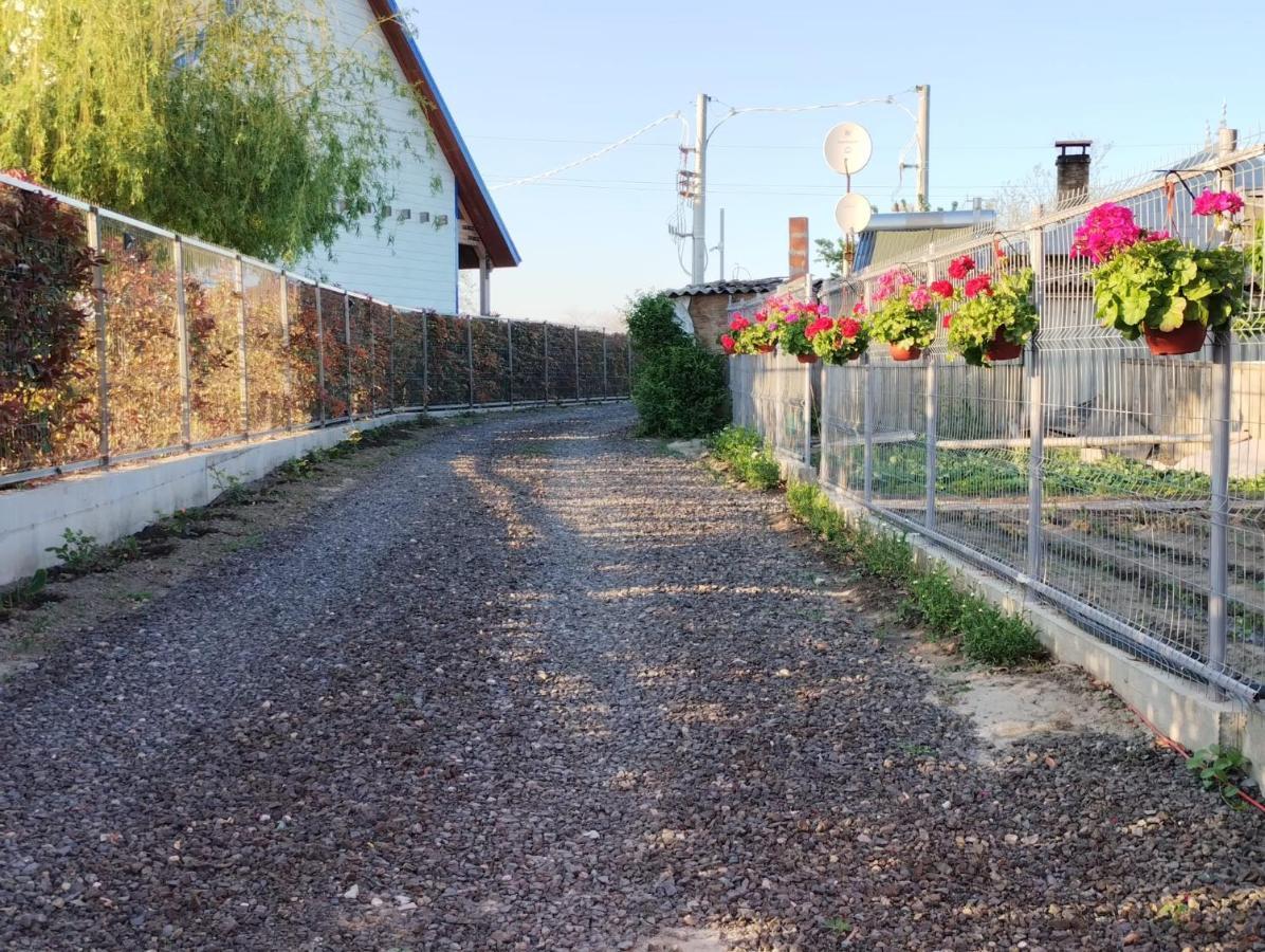 Cabanele Deltei Dunavăţu de Jos Bagian luar foto