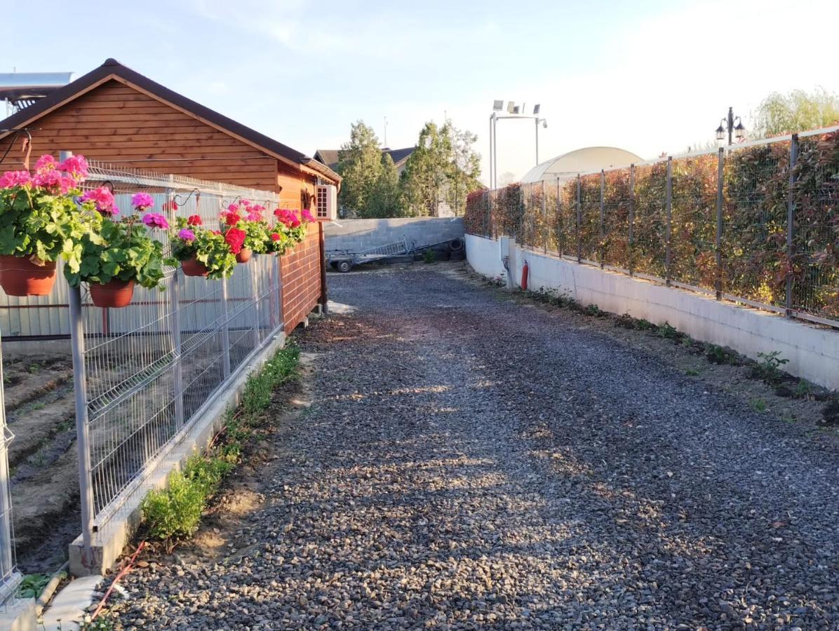 Cabanele Deltei Dunavăţu de Jos Bagian luar foto