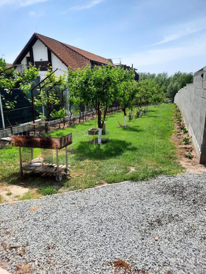 Cabanele Deltei Dunavăţu de Jos Bagian luar foto