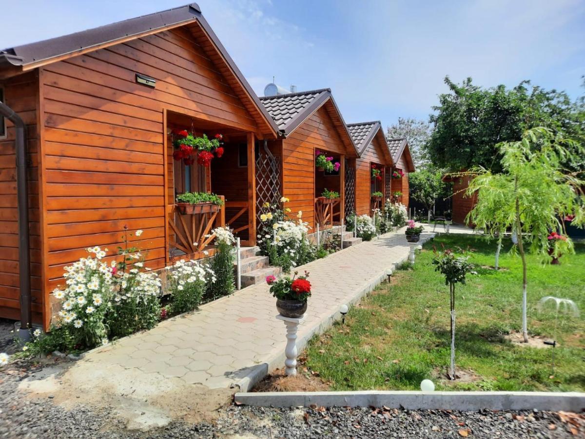 Cabanele Deltei Dunavăţu de Jos Bagian luar foto