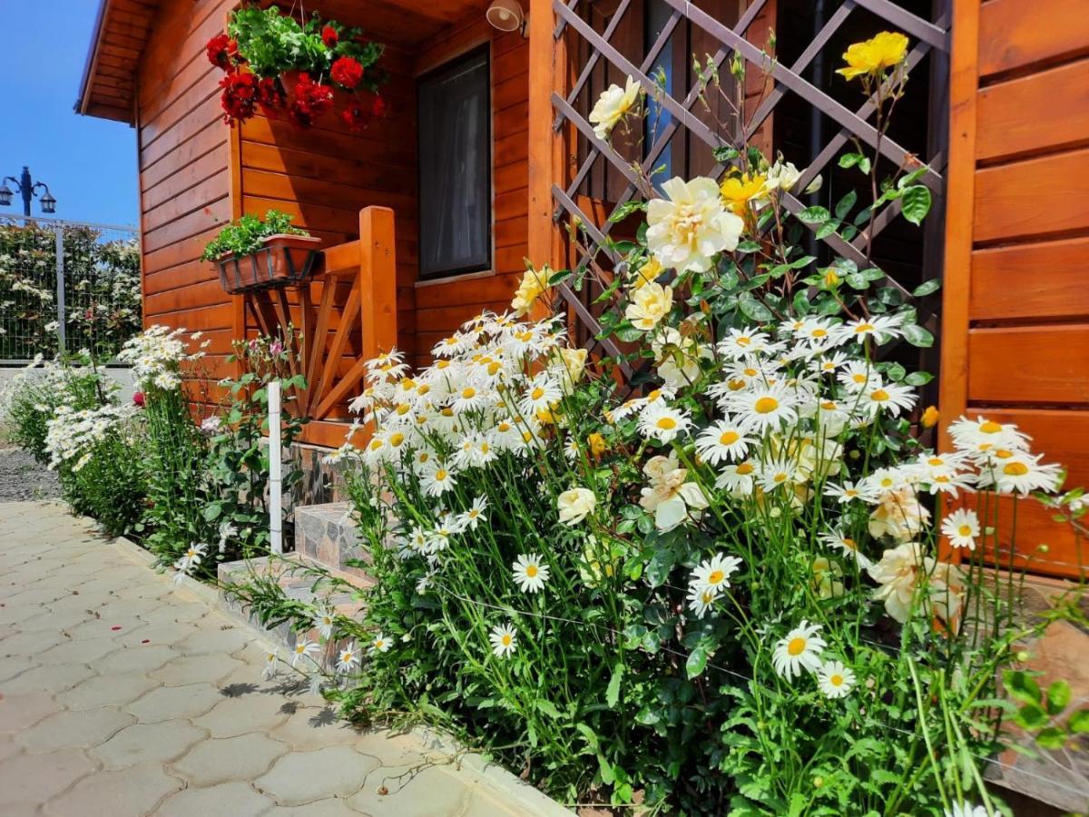 Cabanele Deltei Dunavăţu de Jos Bagian luar foto